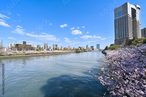 綺麗な青空背景に天満橋から見た大川沿いの満開の桜並木 © S.K