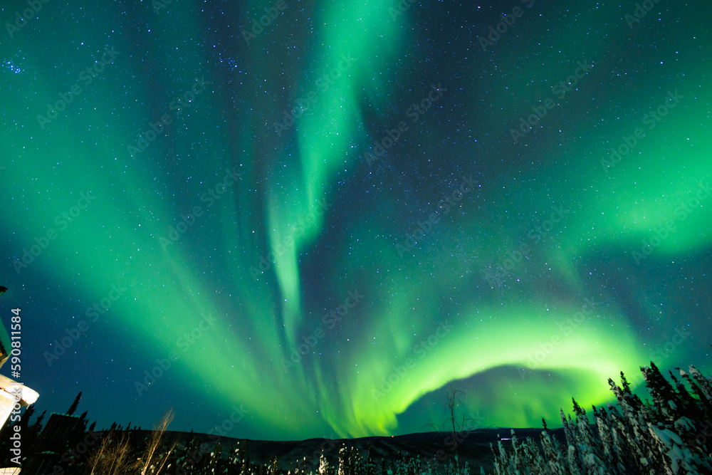 Northern Lights in Fairbanks