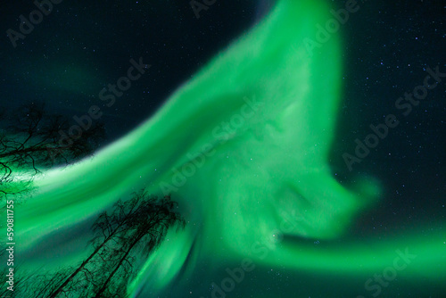 The Northern Lights Alaska