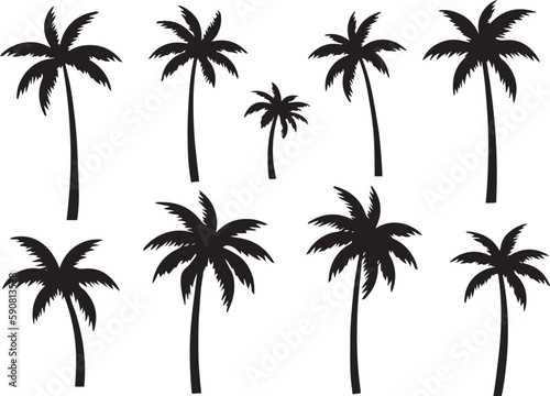 Black palm tree set vector illustration on white background silhouette art black white