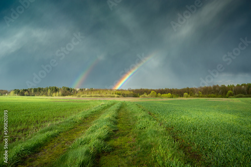 Double rainbow in the sky over green fields with a dirt road, Czulczyce, Poland