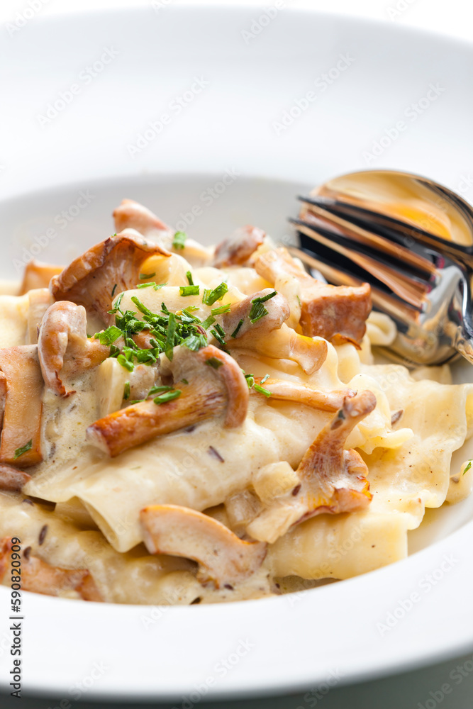 cream sauce with chanterelles served with pasta cream sauce with chanterelles served with pasta