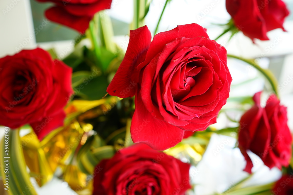 Red Rose Bouquet - 赤 バラ 花 Red Rose Bouquet - 赤 バラ 花
