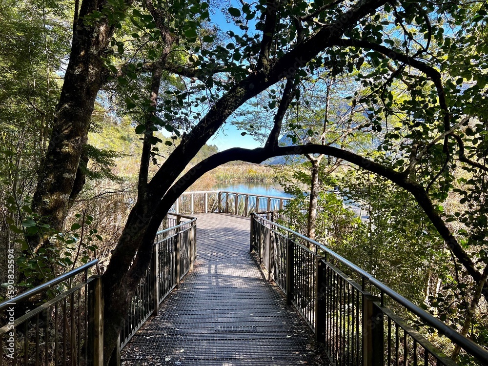Fototapeta premium ミラー湖 フィヨルドランド国立公園 ニュージーランド