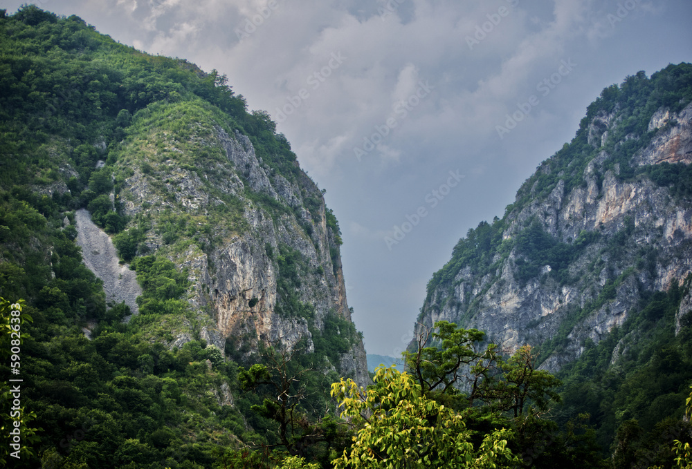 landscape in the mountains