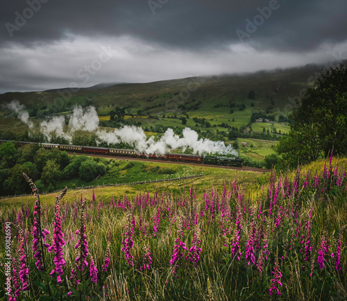 35018 British India Line powers through Mallerstang photo