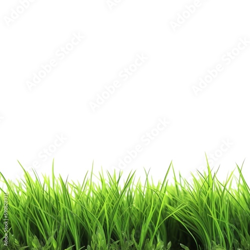 A minimalist and stylish image of green grass on a white background, perfect for use in environmental, health, or wellness-related projects.