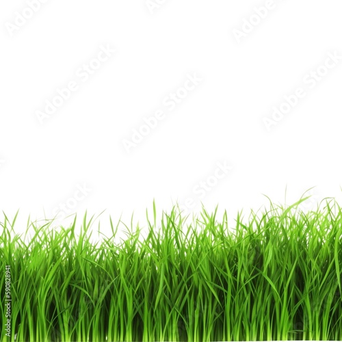 A peaceful and calming image of fresh green grass inspires feelings of harmony, balance, and connectedness with nature.