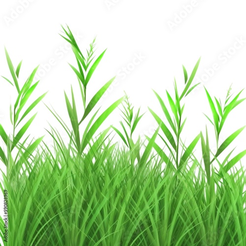 A simple and minimalist image of lush green grass on a white background, highlighting the natural beauty and calming effect of nature.