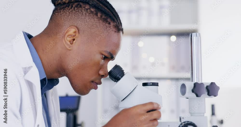 Science, microscope and medical with a doctor man at work in a laboratory for innovation or breakthrough. Research, sample and study with an african male scientist working in a lab for an experiment Science, microscope and medical with a doctor man at work in a laboratory for innovation or breakthrough. Research, sample and study with an african male scientist working in a lab for an experiment
