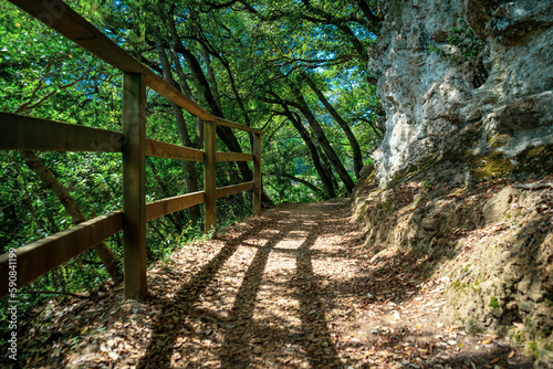 A walking trail with a wooden fence. Saint James Way Walking Route  North El Camino de Santiago.