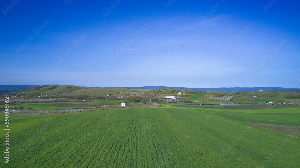 Planted green field in early spring with clear horizon and countryside aerial view