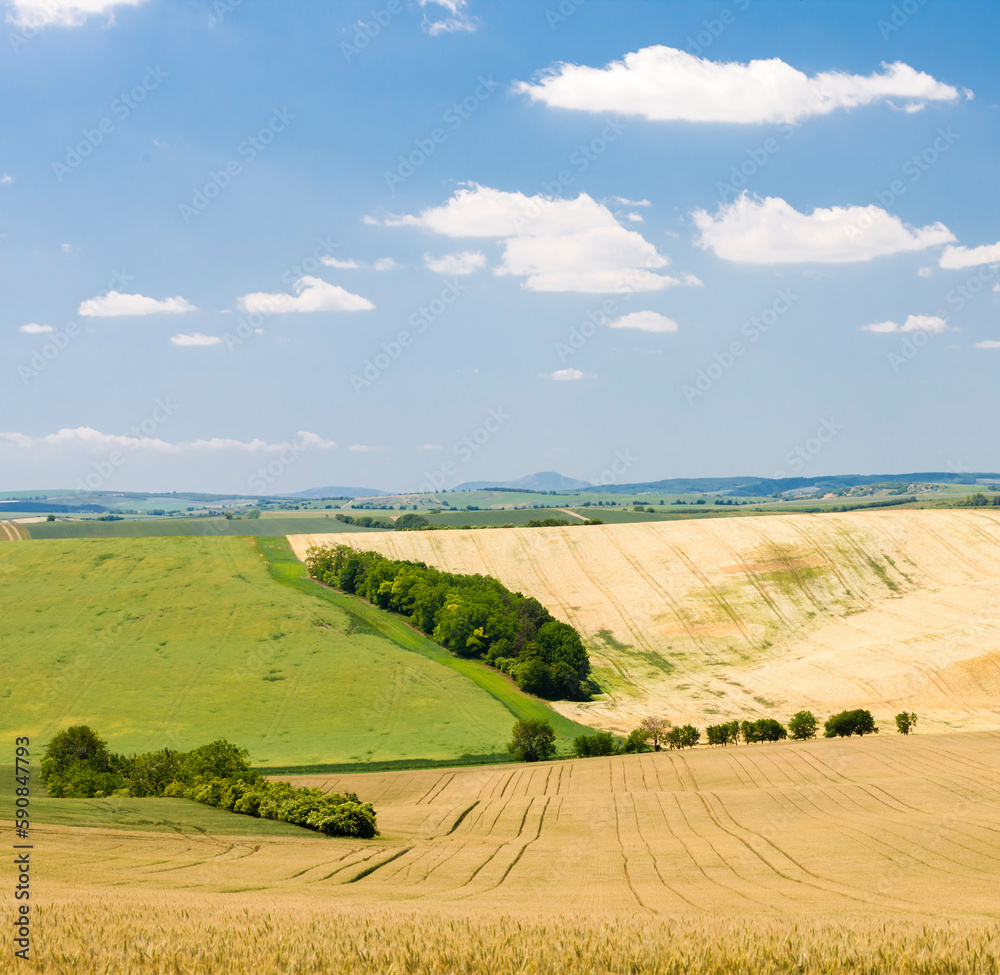 landscape called Moravian Tuscany, Southern Moravia, Czech Republic