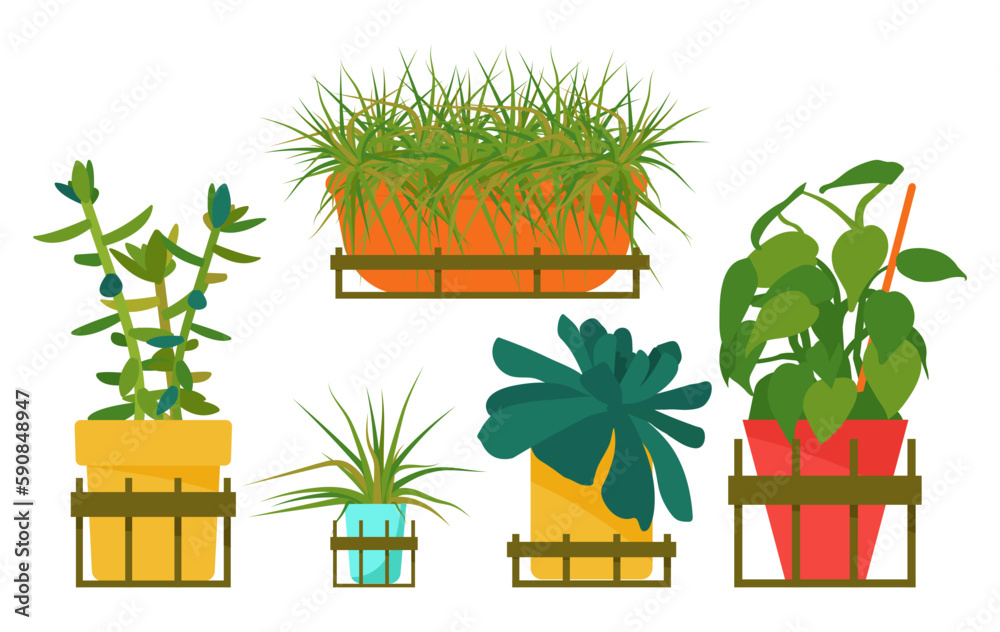 Obraz premium Set of house plants. Interior Scandinavian design. Design element.