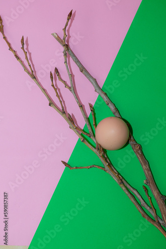 easter eggs in a nest on a colorfol background photo