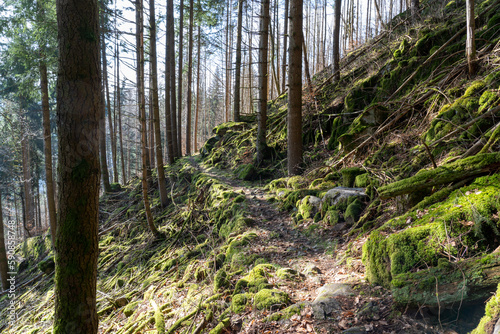 St. Blasien im Schwarzwald