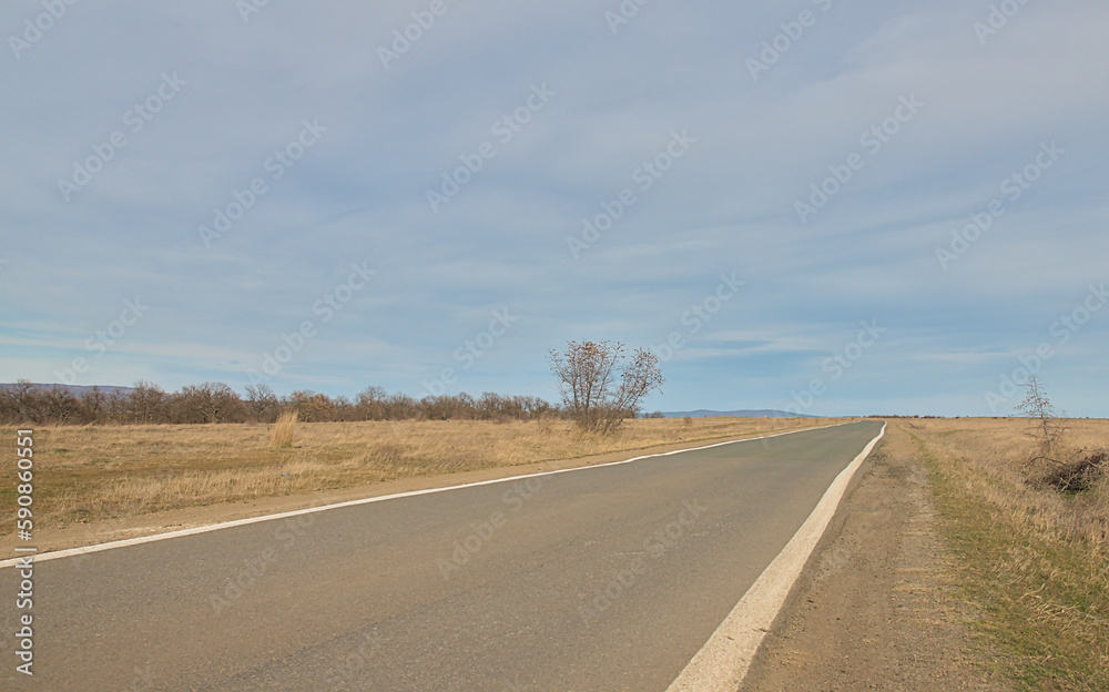 Narrow perfectly paved road with white stripes in the steppe