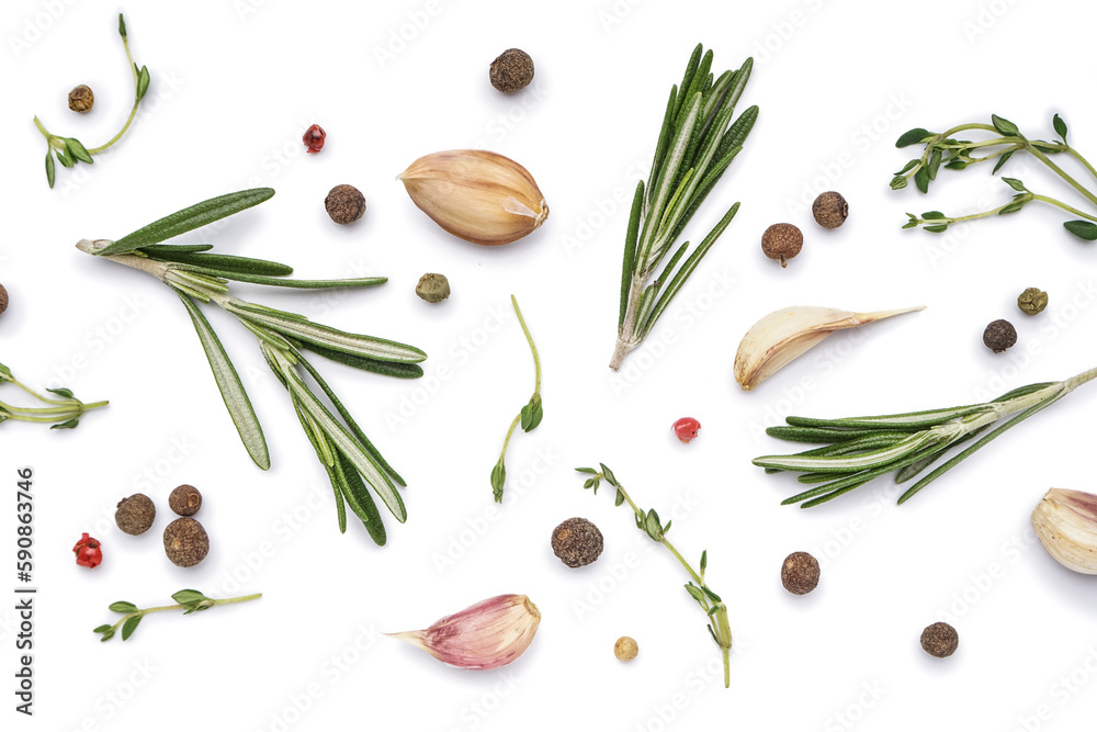 Composition with fresh spices and herbs isolated on white background