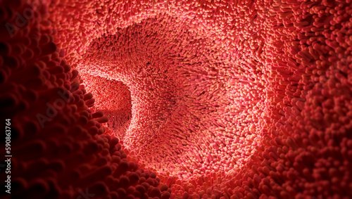 The human intestinal environment. Microvilli on the inner wall of the small intestine. View under a microscope. 3d rendering photo