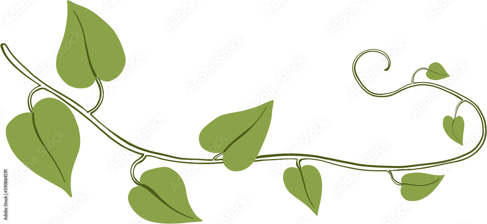 Simplicity ivy freehand drawing Simplicity ivy freehand drawing
