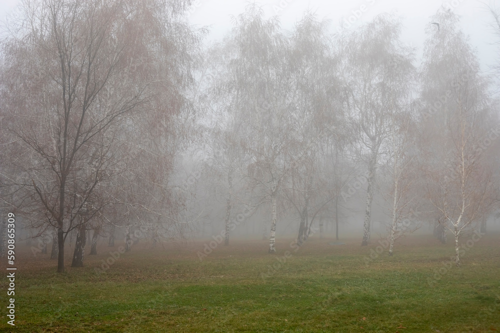 Fog landscape in park with walking path and trees in autumn rainy day Fog landscape in park with walking path and trees in autumn rainy day