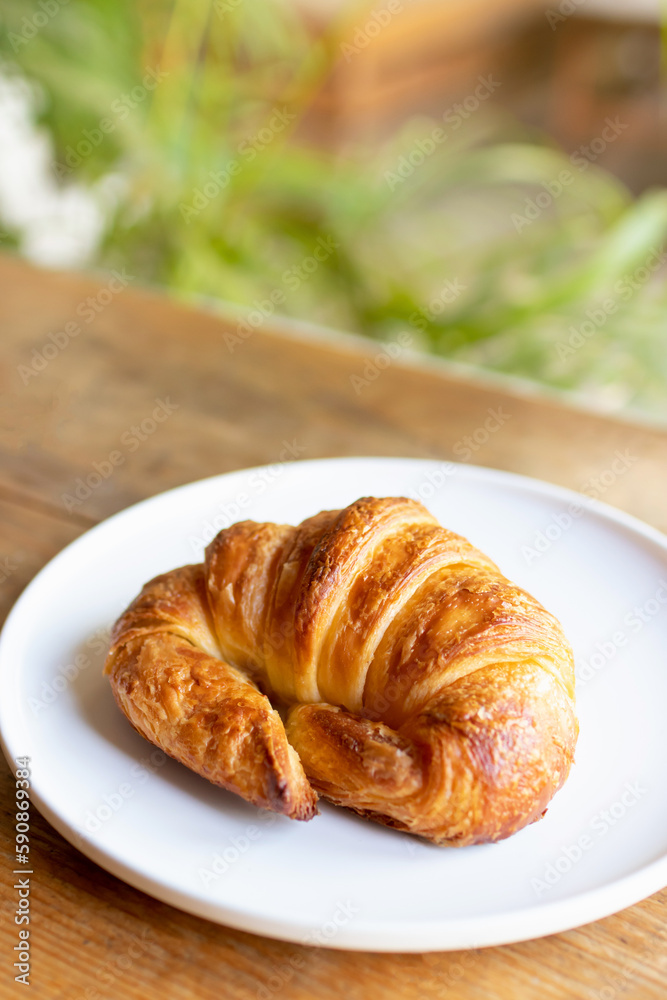 French croissant on white plate on wooden table and nature sunlight with shadow through from window.