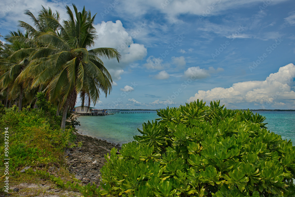 Malaysia. East coast of Borneo. An overgrown sandy beach on the reef island of Mabul, famous all over the world for its diving clubs.