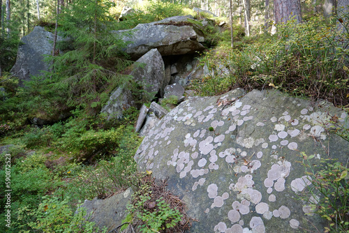 Dovbush Rocks in the forest near Yaremche city, Ukraine photo