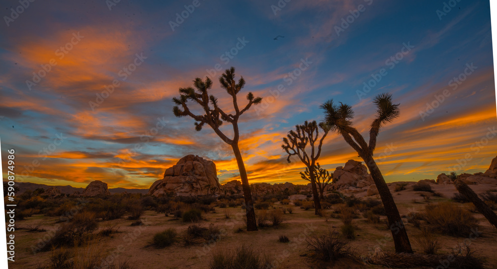 Sands of Time: Sunset over the rocky landscape of Joshua Tree National Park in Southern California.