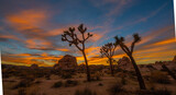 Sands of Time: Sunset over the rocky landscape of Joshua Tree National Park in Southern California.