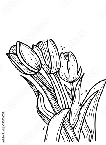 flower vector line art