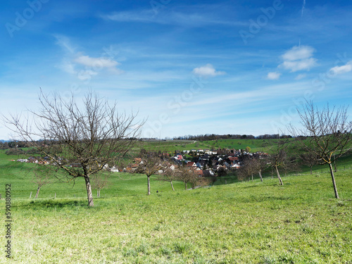 Olsberg im Schweizer Kanton Aargau. Die sanften Hügel ringsum sind mit Kirschbäumen übersät, dazwischen reihen sich Obstanlagen, liegen Felder, Wiesen und Wälder photo