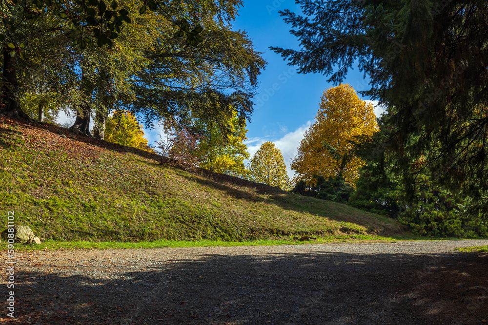 Naklejka premium Il Parco della Burcina in Autunno a Biella in Piemonte