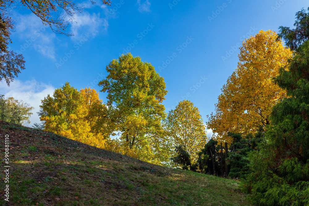 Il Parco della Burcina in Autunno a Biella in Piemonte