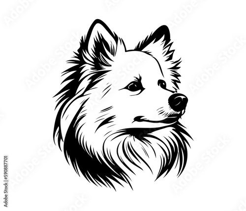 American Eskimo, Silhouettes Dog Face SVG, black and white American Eskimo vector