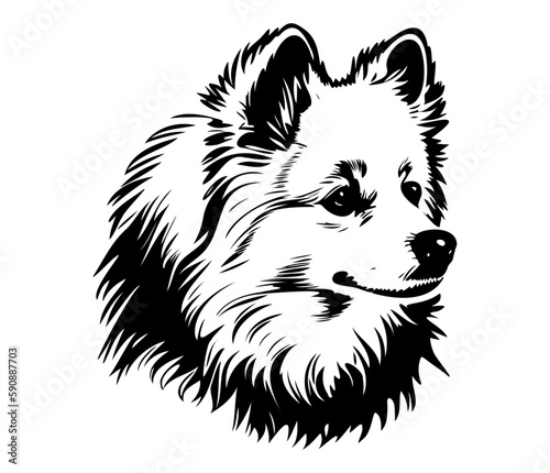 American Eskimo, Silhouettes Dog Face SVG, black and white American Eskimo vector