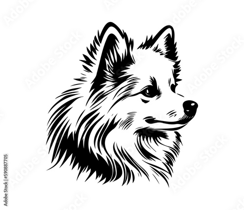 American Eskimo, Silhouettes Dog Face SVG, black and white American Eskimo vector