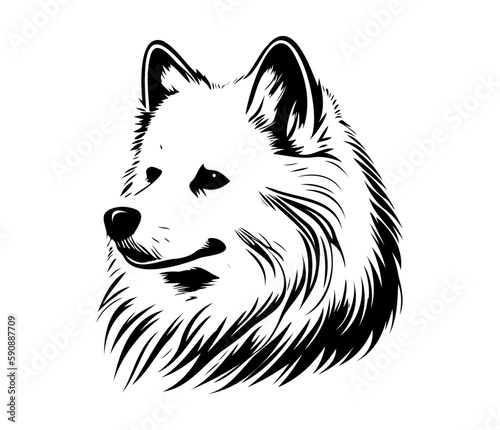 American Eskimo, Silhouettes Dog Face SVG, black and white American Eskimo vector