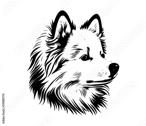 American Eskimo, Silhouettes Dog Face SVG, black and white American Eskimo vector