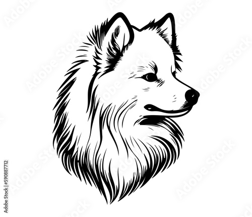 American Eskimo, Silhouettes Dog Face SVG, black and white American Eskimo vector
