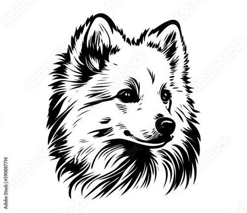 American Eskimo, Silhouettes Dog Face SVG, black and white American Eskimo vector