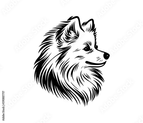American Eskimo, Silhouettes Dog Face SVG, black and white American Eskimo vector
