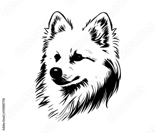 American Eskimo, Silhouettes Dog Face SVG, black and white American Eskimo vector