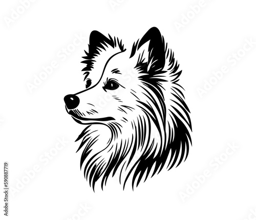 American Eskimo, Silhouettes Dog Face SVG, black and white American Eskimo vector