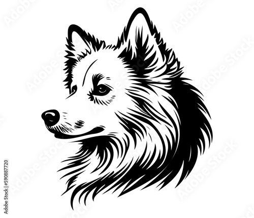 American Eskimo, Silhouettes Dog Face SVG, black and white American Eskimo vector