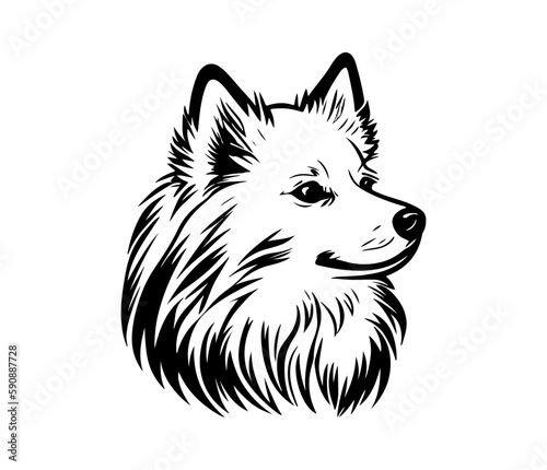 American Eskimo, Silhouettes Dog Face SVG, black and white American Eskimo vector