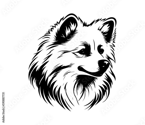 American Eskimo, Silhouettes Dog Face SVG, black and white American Eskimo vector
