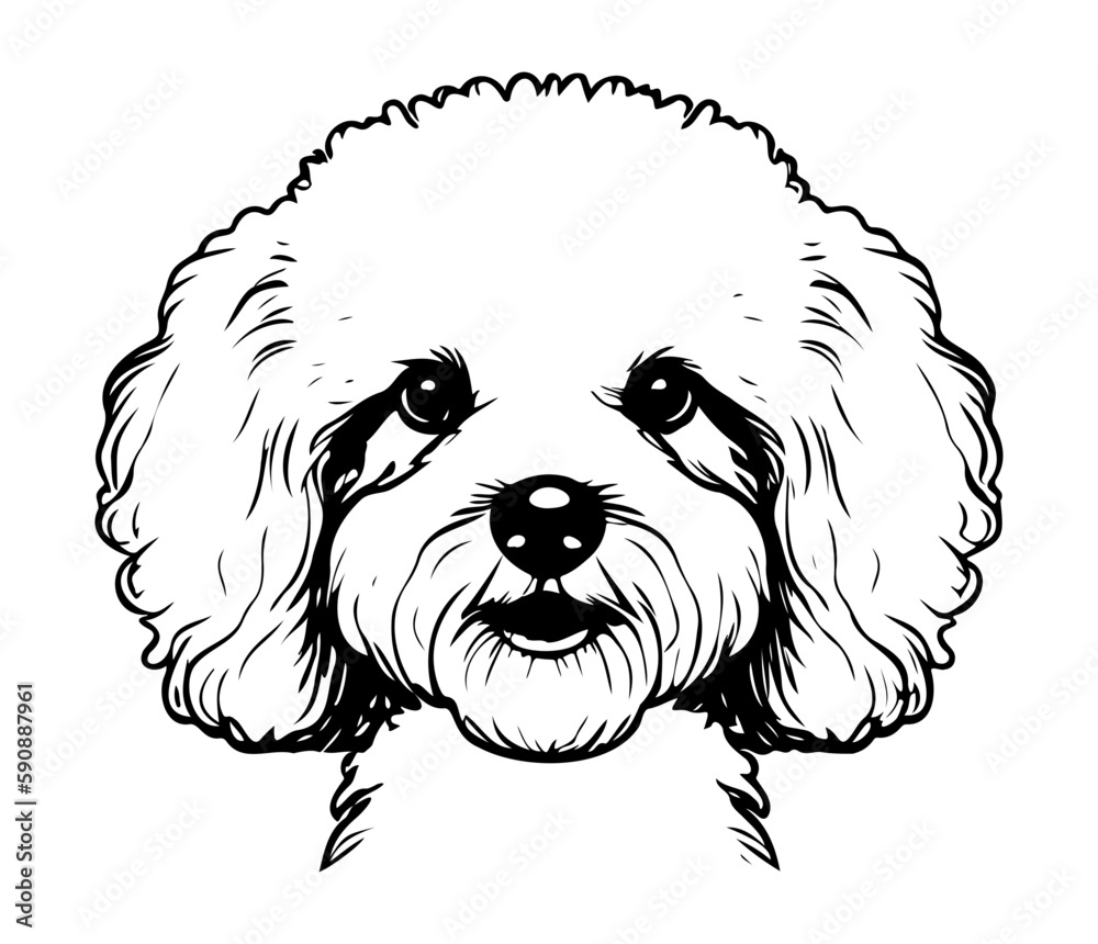 Bichon Frise, Silhouettes Dog Face SVG, black and white Bichon Frise vector Bichon Frise, Silhouettes Dog Face SVG, black and white Bichon Frise vector