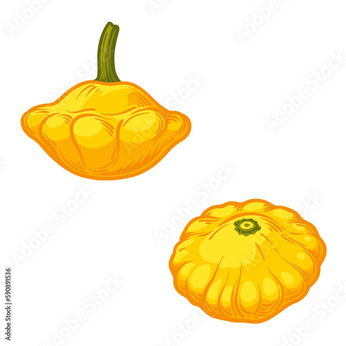 Vector illustration of a patisson. Yellow pattypan squash isolated on white background.