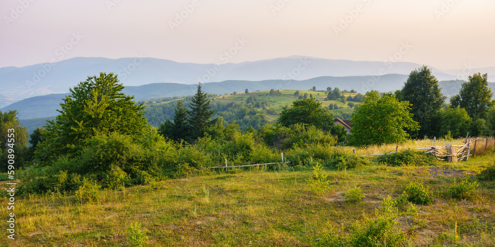 rural mountain scenery in summer. stunning sunset view over the valley with trees and meadows on the rolling hills